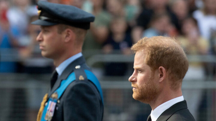 Королевская семья надеется, что перед коронацией принцы Уильям и Гарри помирятся