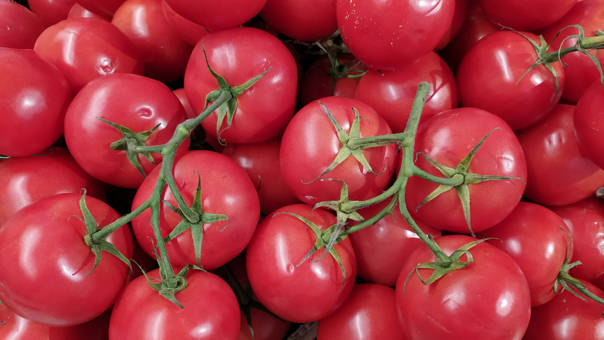 В течении августа помидоры подешевели на 50. Томат Стэнли. Помидоры красная россыпь. Разнообразие томатов. Томат кричит.
